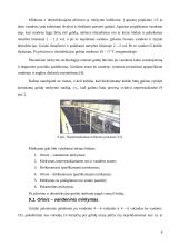 Alaus gamybos technologijos 8 puslapis