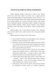 Išleistuvių pobūvio organizavimas 6 puslapis