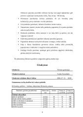 Išleistuvių pobūvio organizavimas 7 puslapis