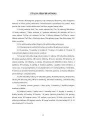Išleistuvių pobūvio organizavimas 10 puslapis