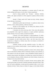 Komercinių sutarčių sąlygos ir jų reikšmė 12 puslapis