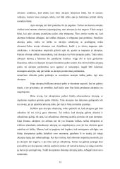 Komercinių sutarčių sąlygos ir jų reikšmė 13 puslapis