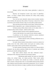 Komercinių sutarčių sąlygos ir jų reikšmė 20 puslapis