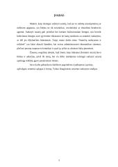 Komercinių sutarčių sąlygos ir jų reikšmė 3 puslapis