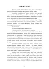 Komercinių sutarčių sąlygos ir jų reikšmė 4 puslapis