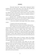 Komercinių sutarčių sąlygos ir jų reikšmė 8 puslapis