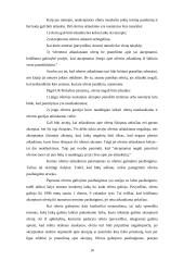 Komercinių sutarčių sąlygos ir jų reikšmė 10 puslapis