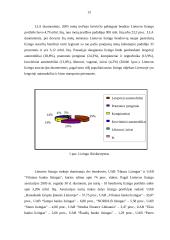 Lizingo bei pirkimo pardavimo sutarčių palyginimas 13 puslapis