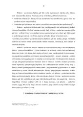 Lizingo bei pirkimo pardavimo sutarčių palyginimas 16 puslapis