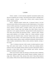 Lizingo bei pirkimo pardavimo sutarčių palyginimas 3 puslapis