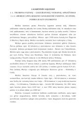 Merkio upės ir jos baseino morfometriniai rodikliai bei geografinės sąlygos 2 puslapis