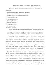 Merkio upės ir jos baseino morfometriniai rodikliai bei geografinės sąlygos 3 puslapis