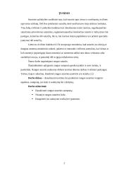 Rangos sutarties pasirašymas 2 puslapis