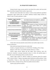 Rangos sutarties pasirašymas 12 puslapis