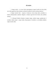 Rangos sutarties pasirašymas 15 puslapis