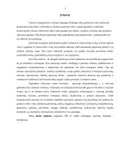 Vežimas jūros transportu 3 puslapis