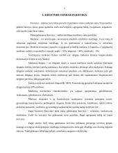 Vežimas jūros transportu 5 puslapis