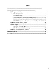 Rangos sutartys 2 puslapis