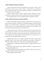 Hidrometrijos praktikos ataskaita: Vilnelė 10 puslapis