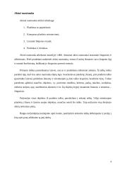 Hidrometrijos praktikos ataskaita: Vilnelė 3 puslapis