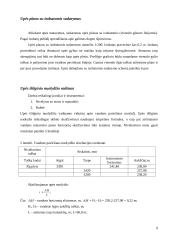Hidrometrijos praktikos ataskaita: Vilnelė 8 puslapis