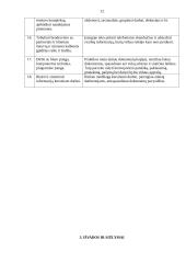 Profesinė praktikos ataskaita Mažeikių rajono teisme 12 puslapis