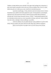 Profesinė praktikos ataskaita Mažeikių rajono teisme 13 puslapis