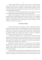 Profesinė praktikos ataskaita Mažeikių rajono teisme 7 puslapis