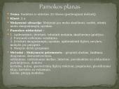 Alternatyvaus ugdymo organizavimas pradinėje mokykloje pagal M. Montessori 19 puslapis