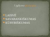 Alternatyvaus ugdymo organizavimas pradinėje mokykloje pagal M. Montessori 6 puslapis