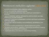 Alternatyvaus ugdymo organizavimas pradinėje mokykloje pagal M. Montessori 9 puslapis