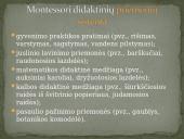Alternatyvaus ugdymo organizavimas pradinėje mokykloje pagal M. Montessori 10 puslapis