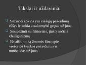 Atsakomybė už viešosios tvarkos pažeidimus ir chuliganizmą 2 puslapis