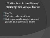 Atsakomybė už viešosios tvarkos pažeidimus ir chuliganizmą 4 puslapis