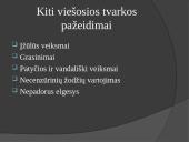 Atsakomybė už viešosios tvarkos pažeidimus ir chuliganizmą 7 puslapis