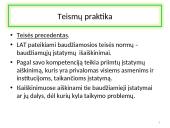 Baudžiamosios teisės šaltiniai 11 puslapis