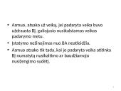 Baudžiamosios teisės šaltiniai 7 puslapis