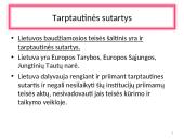 Baudžiamosios teisės šaltiniai 8 puslapis