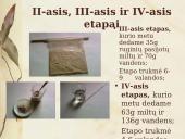 Duonos raugo gamybos proceso tyrimas ir duonos kepimas su mielėmis ir be jų 14 puslapis