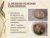Duonos raugo gamybos proceso tyrimas ir duonos kepimas su mielėmis ir be jų 16 puslapis