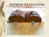 Duonos raugo gamybos proceso tyrimas ir duonos kepimas su mielėmis ir be jų 20 puslapis