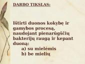Duonos raugo gamybos proceso tyrimas ir duonos kepimas su mielėmis ir be jų 3 puslapis