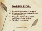Duonos raugo gamybos proceso tyrimas ir duonos kepimas su mielėmis ir be jų 6 puslapis