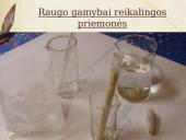 Duonos raugo gamybos proceso tyrimas ir duonos kepimas su mielėmis ir be jų 9 puslapis
