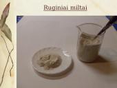 Duonos raugo gamybos proceso tyrimas ir duonos kepimas su mielėmis ir be jų 10 puslapis