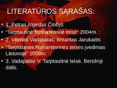 Humanitarinės teisės ir žmogaus teisių santykis 11 puslapis