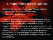 Humanitarinės teisės ir žmogaus teisių santykis 3 puslapis