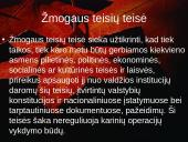 Humanitarinės teisės ir žmogaus teisių santykis 4 puslapis