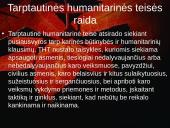 Humanitarinės teisės ir žmogaus teisių santykis 6 puslapis