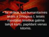 Humanitarinės teisės ir žmogaus teisių santykis 7 puslapis